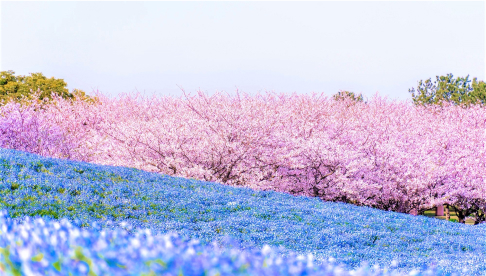 umi-no nakamichi seaside park